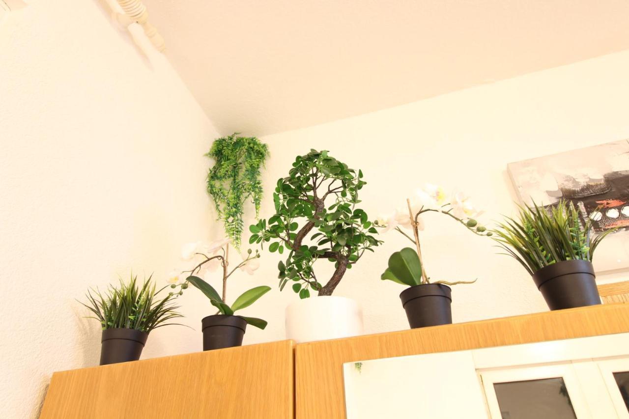 Downtown Apartments Ulm - Im Herzen Von Ulm & Komfortable Boxspringbetten المظهر الخارجي الصورة